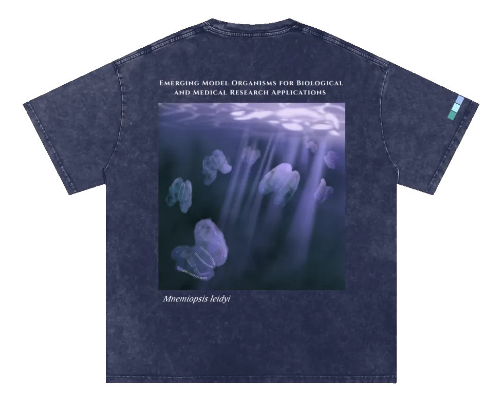 Mnemiopsis Tee (back)